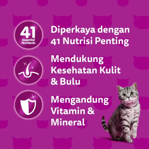 Whiskas Pouch Adult (80gr) - Chicken Loaf - Image 3