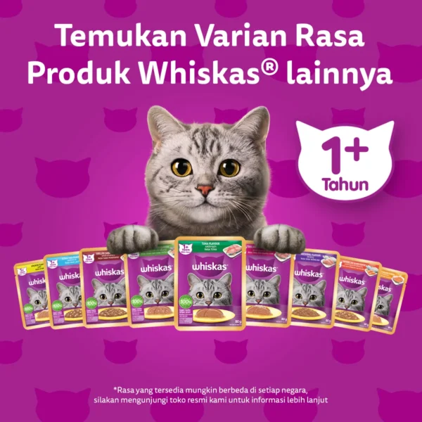 Whiskas Pouch Adult (80gr) - Chicken Loaf - Image 6