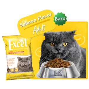 Excel Dry Adult (500gr) - Salmon