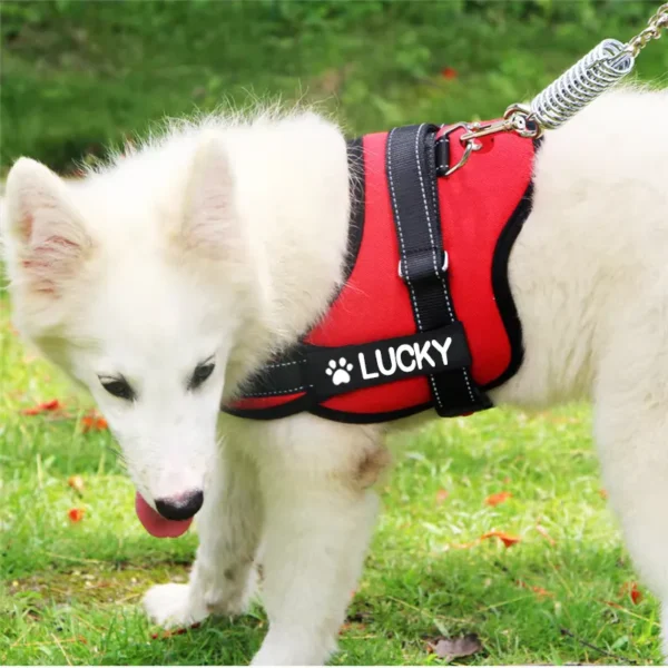 Harness Rompi Anjing Besar (tanpa tali) - Image 3