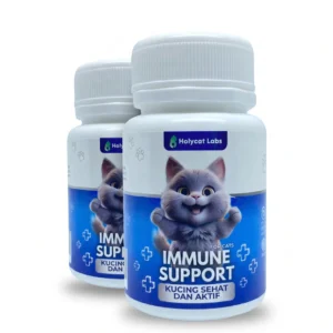 Immune Support untuk Kucing Sehat