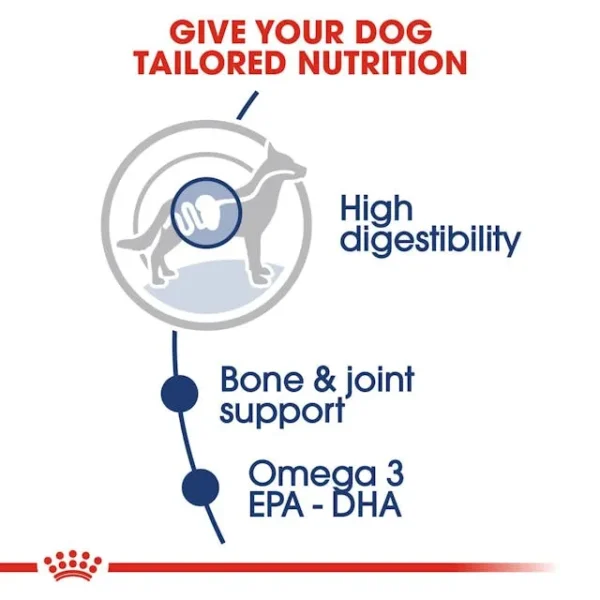 Royal Canin Maxi Adult untuk Anjing - Image 2