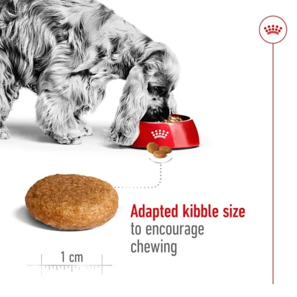 Royal Canin Makanan Anjing Medium Adult - Image 3