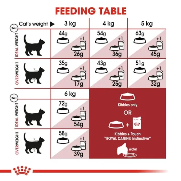 Royal Canin FIT32 untuk Kucing Outdoor - Image 4