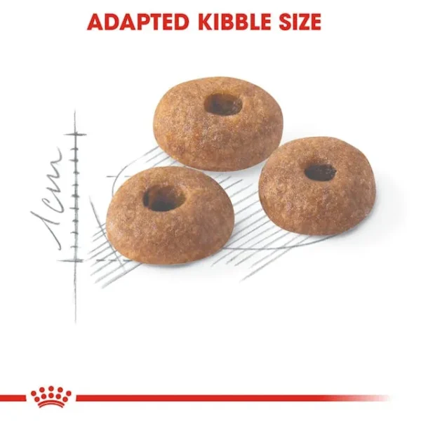 Royal Canin FIT32 untuk Kucing Outdoor - Image 2