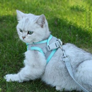 Harness Rompi + Tali untuk Kucing & Anjing