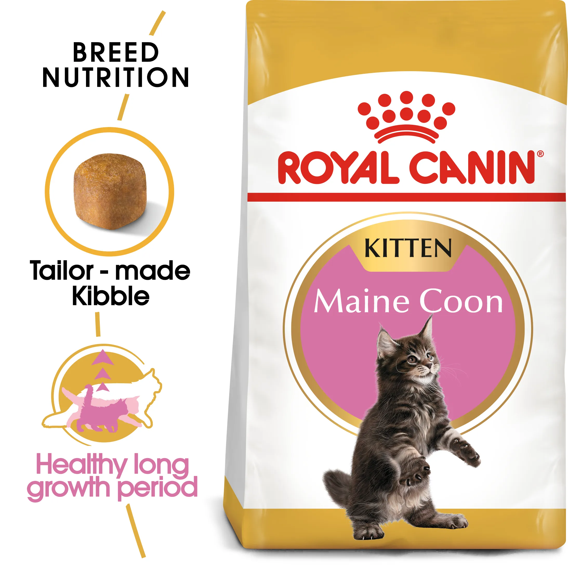 Royal Canin Maine Coon Kitten (0.4kg) Dry Makanan Anak Kucing - Feline Breed Nutrition - Image 2
