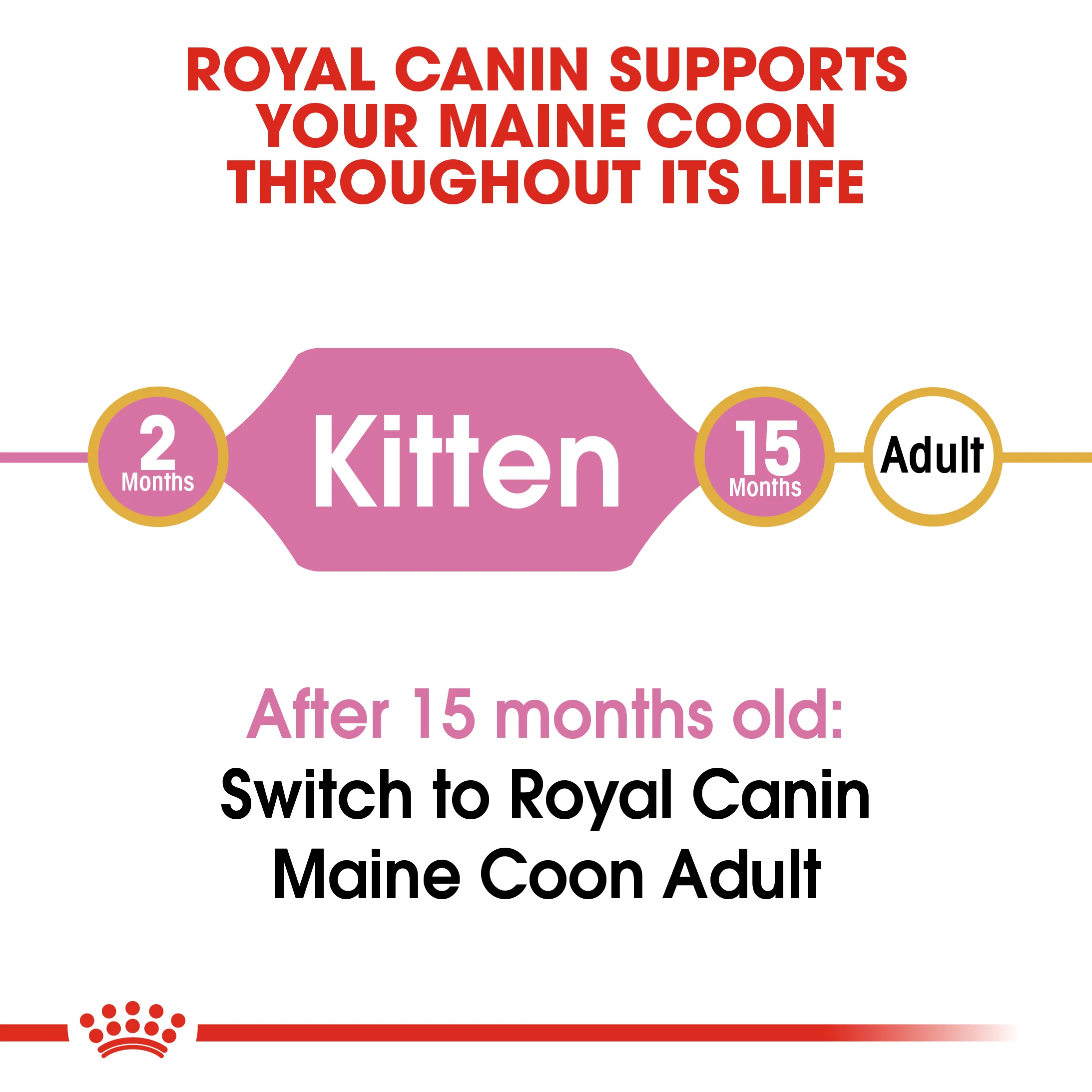 Royal Canin Maine Coon Kitten (0.4kg) Dry Makanan Anak Kucing - Feline Breed Nutrition - Image 3