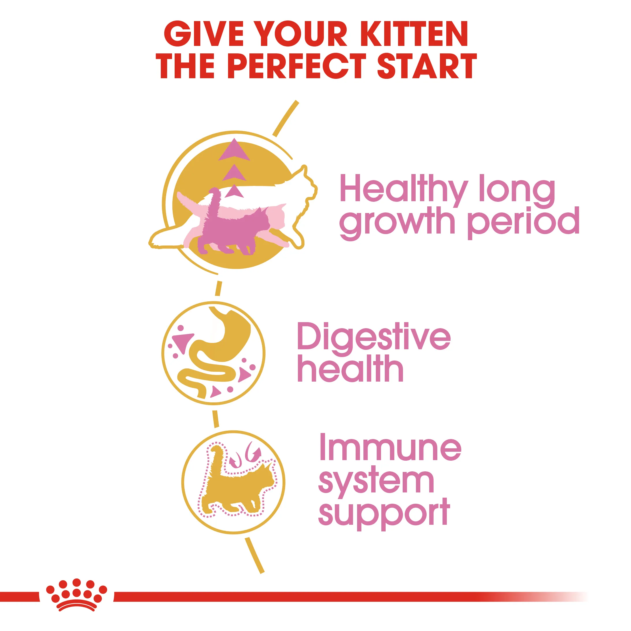 Royal Canin Maine Coon Kitten (0.4kg) Dry Makanan Anak Kucing - Feline Breed Nutrition - Image 5