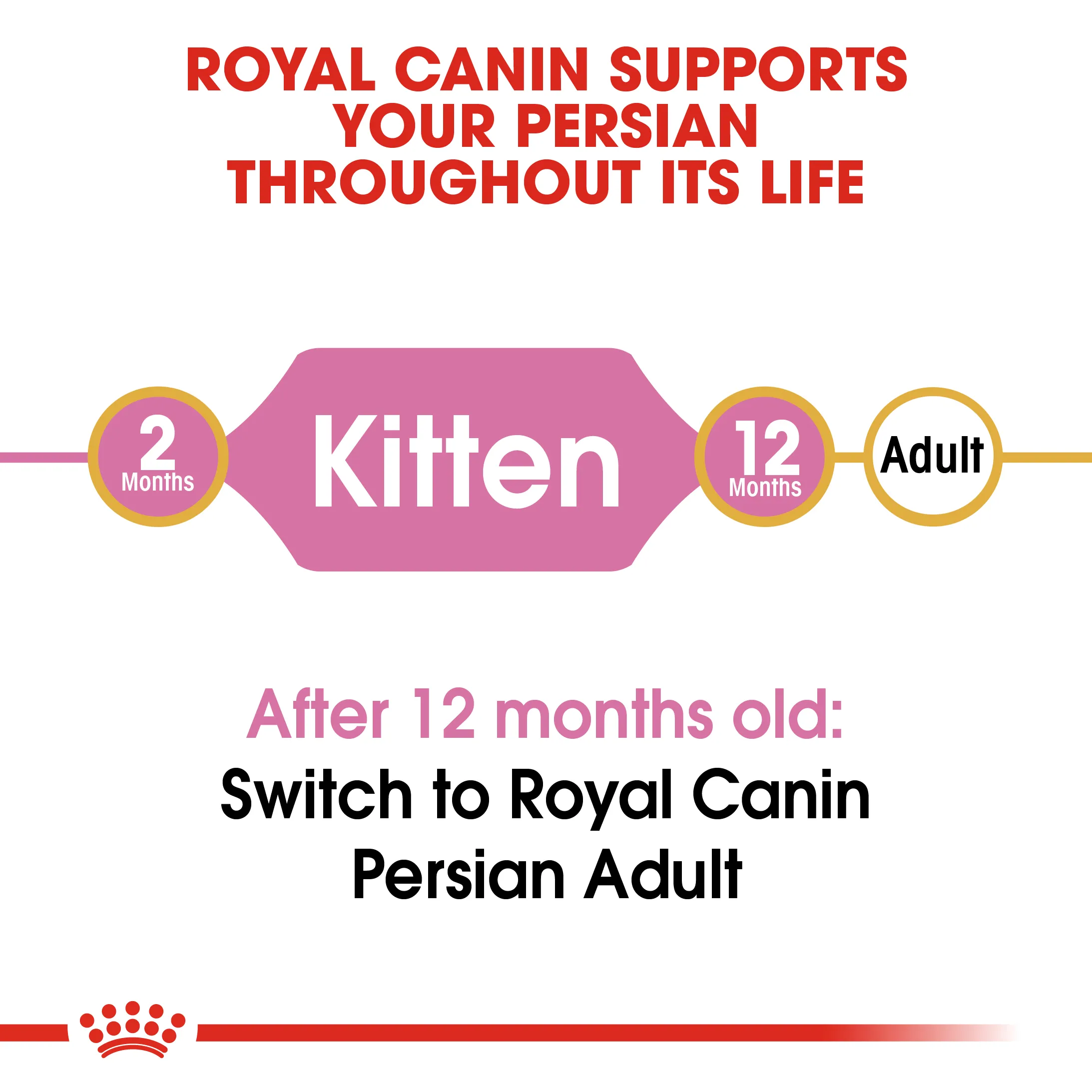 Royal Canin Persian Kitten (10kg) Dry Makanan Anak Kucing - Feline Breed Nutrition - Image 3