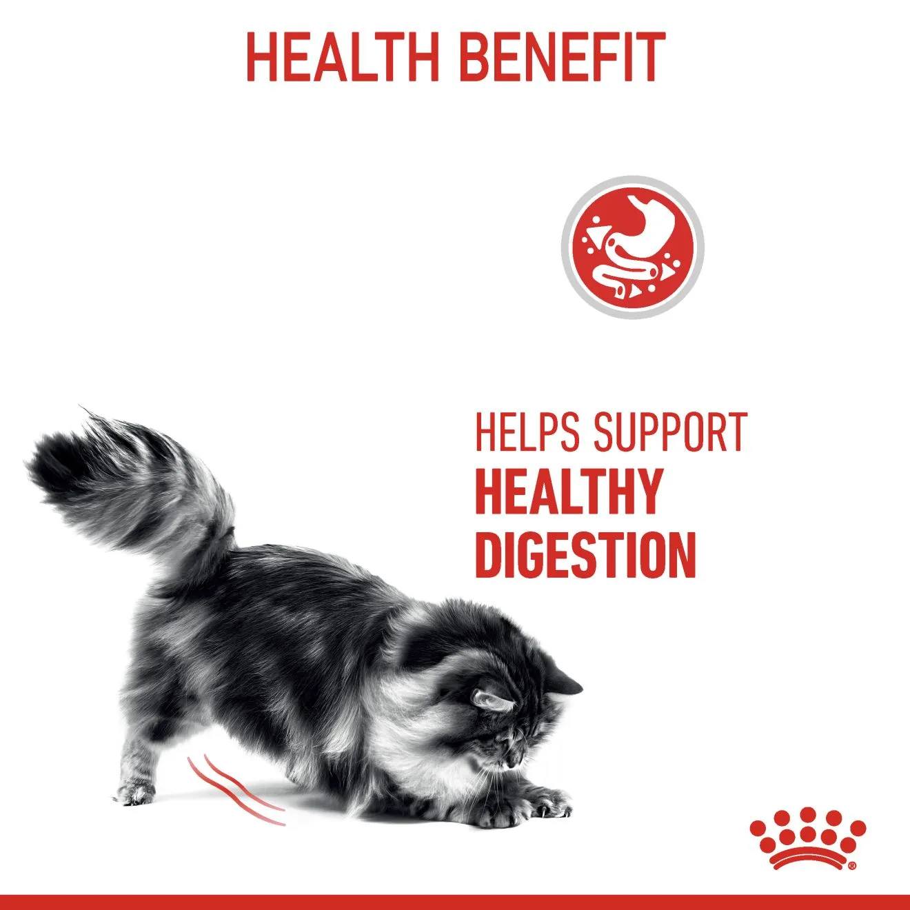 Royal Canin Digestive Care (2kg) Adult Dry Makanan Kucing - Feline Care Nutrition - Image 5