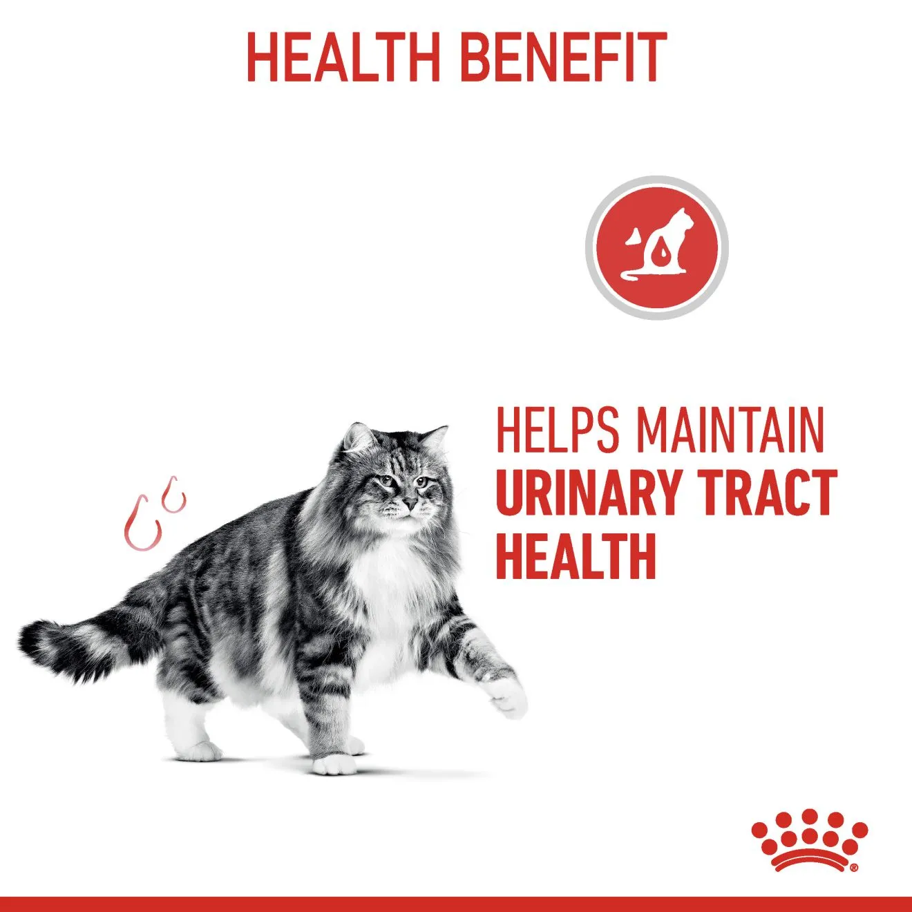 Royal Canin Urinary Care (0.4kg) Adult Dry Makanan Kucing - Feline Care Nutrition - Image 4