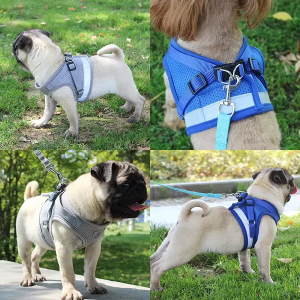 Harness Rompi + Tali dengan Bahan Reflektif - Image 2