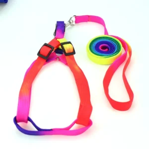 Harness Pelangi S