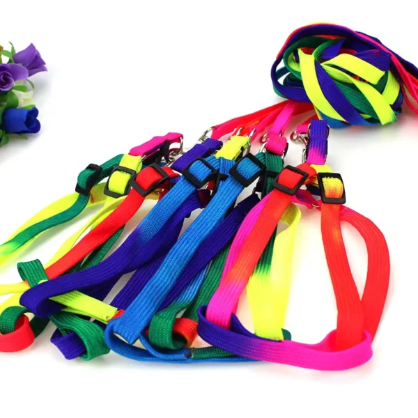 Harness Pelangi S untuk Hewan Kecil - Image 2