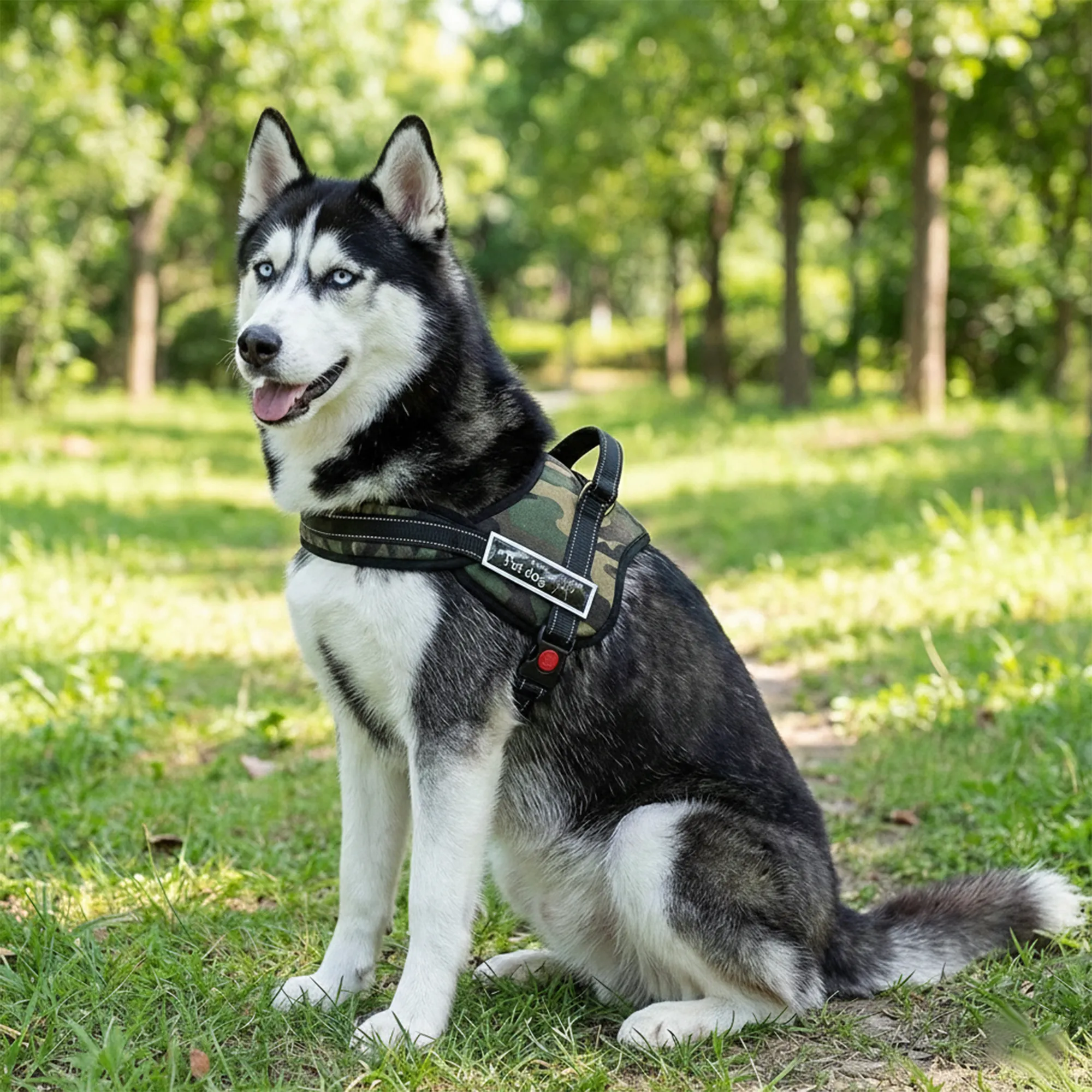 Harness Rompi Anjing Besar