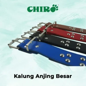 Kalung Kulit Besar untuk Anjing