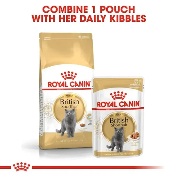 Royal Canin British Shorthair Adult - Image 6