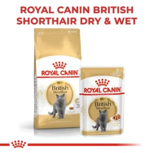 Royal Canin British Shorthair Adult
