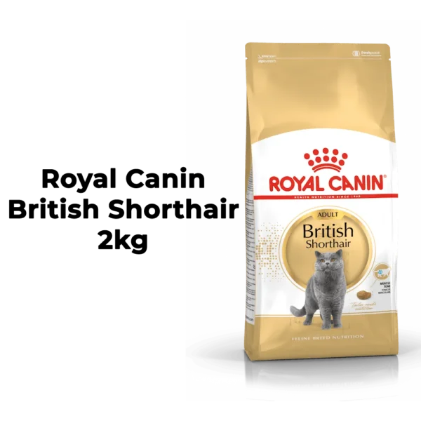 Royal Canin British Shorthair Adult - Image 8