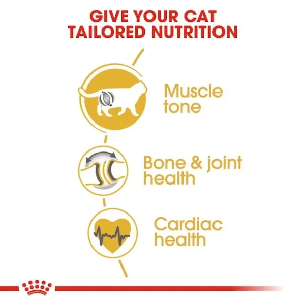 Royal Canin British Shorthair Adult - Image 4