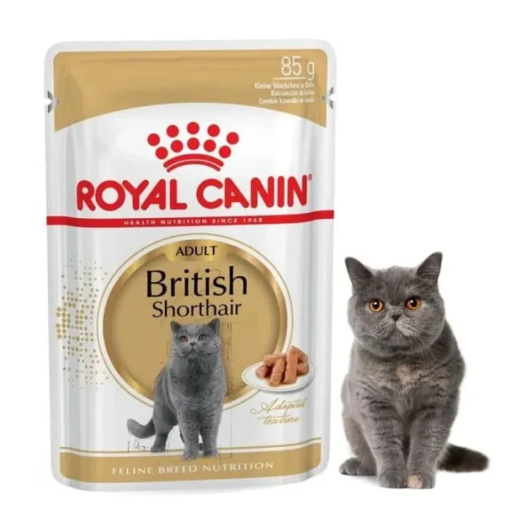 Royal Canin British Shorthair Adult - Image 7
