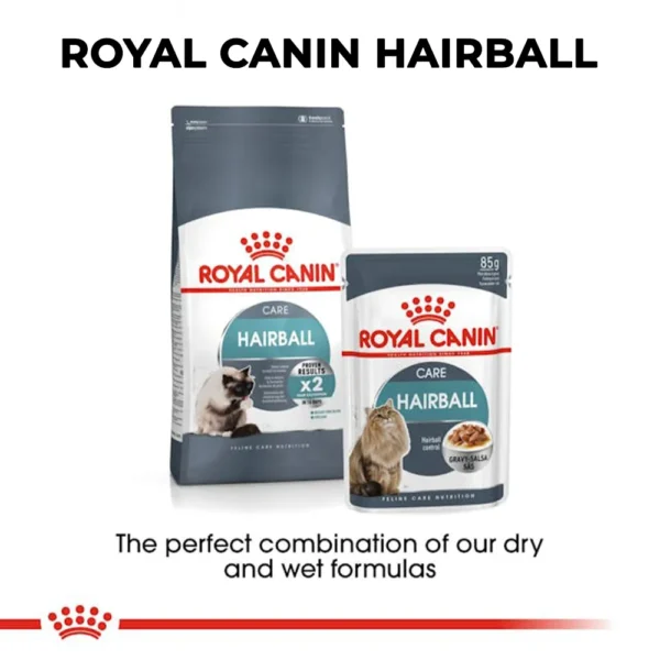 Royal Canin Hairball Care