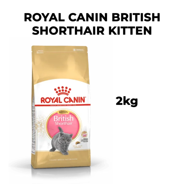 Royal Canin British Shorthair Kitten - Image 8