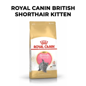 Royal Canin British Shorthair Kitten