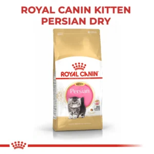 Royal Canin Kitten Persian Dry Food