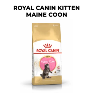 Royal Canin Maine Coon Kitten