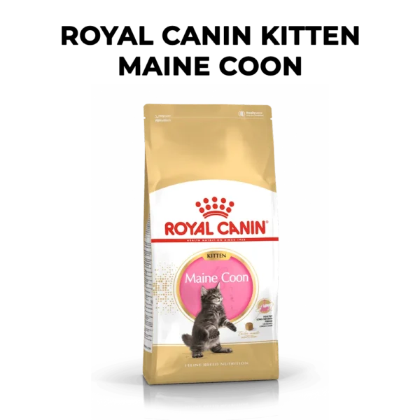 Royal Canin Maine Coon Kitten