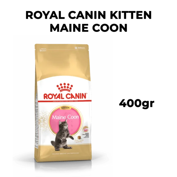 Royal Canin Maine Coon Kitten - Image 6