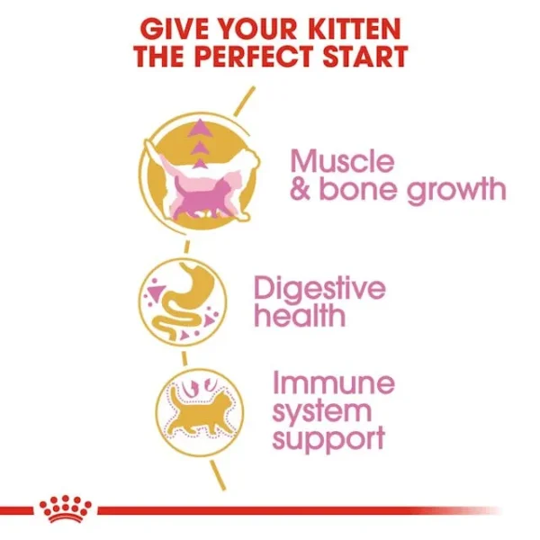 Royal Canin British Shorthair Kitten - Image 4