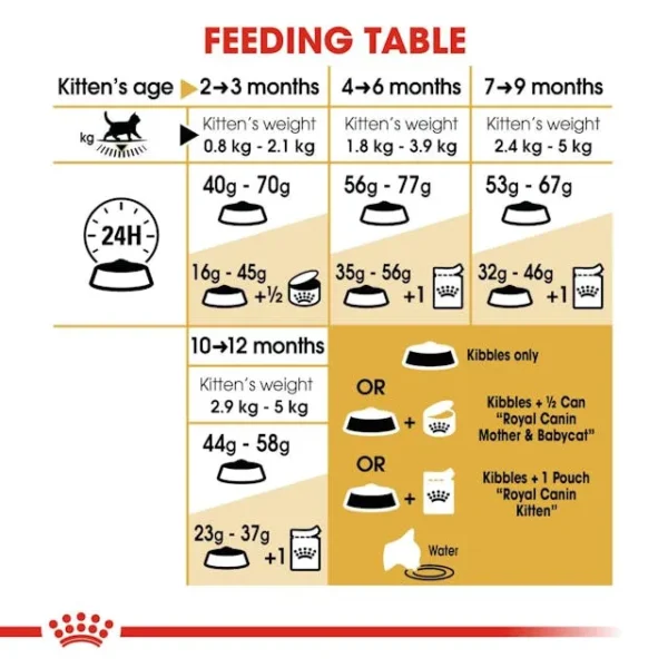Royal Canin British Shorthair Kitten - Image 6