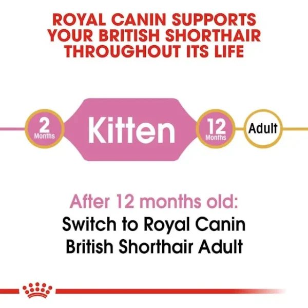 Royal Canin British Shorthair Kitten - Image 5