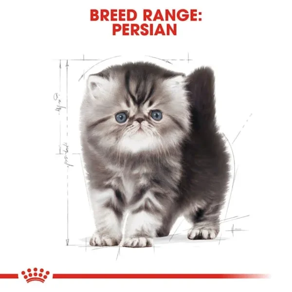 Royal Canin Kitten Persian Dry Food - Image 3