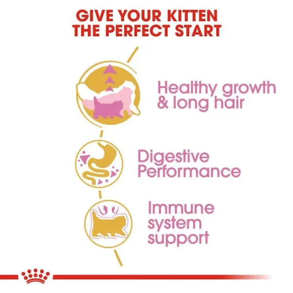 Royal Canin Kitten Persian Dry Food - Image 4