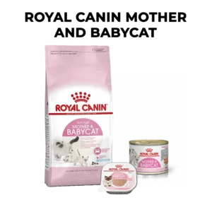 Royal Canin Mother Baby Cat