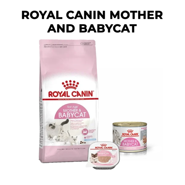 Royal Canin Mother Baby Cat