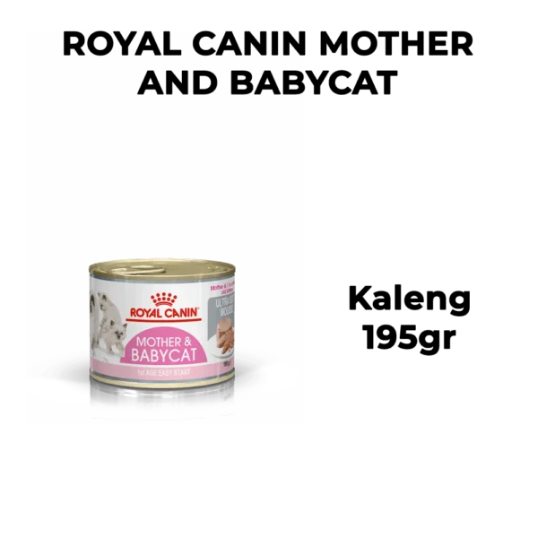 Royal Canin Mother Baby Cat - Image 5