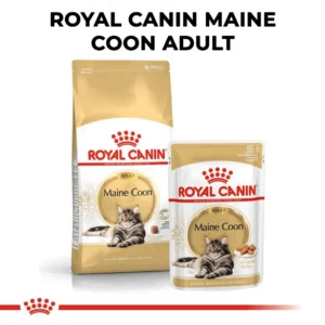 Royal Canin Maine Coon Adult