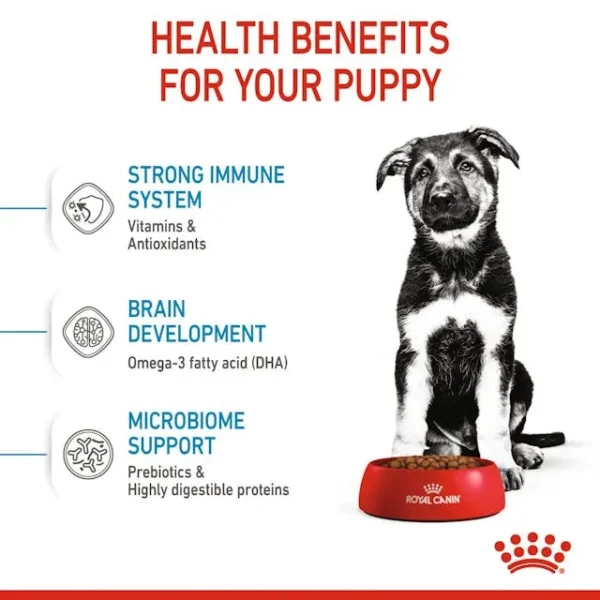 Royal Canin Maxi Puppy untuk Anjing - Image 5