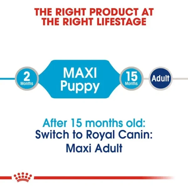Royal Canin Maxi Puppy untuk Anjing - Image 6