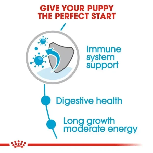 Royal Canin Maxi Puppy untuk Anjing - Image 2
