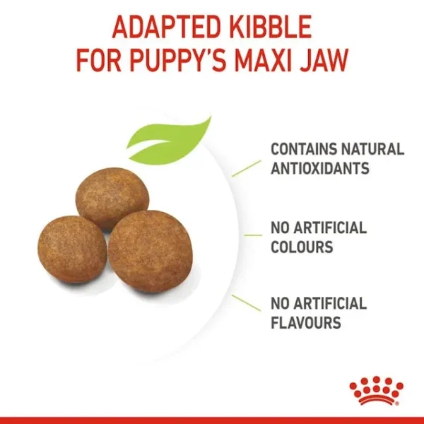 Royal Canin Maxi Puppy untuk Anjing - Image 3