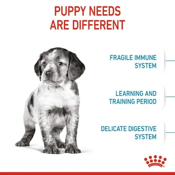 Royal Canin Makanan Anjing Medium Puppy - Image 2
