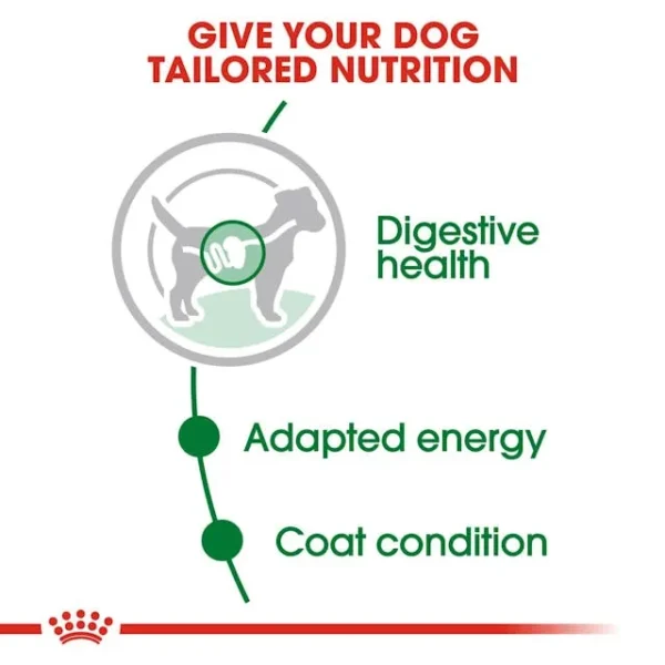 Royal Canin Mini Adult untuk Anjing - Image 3