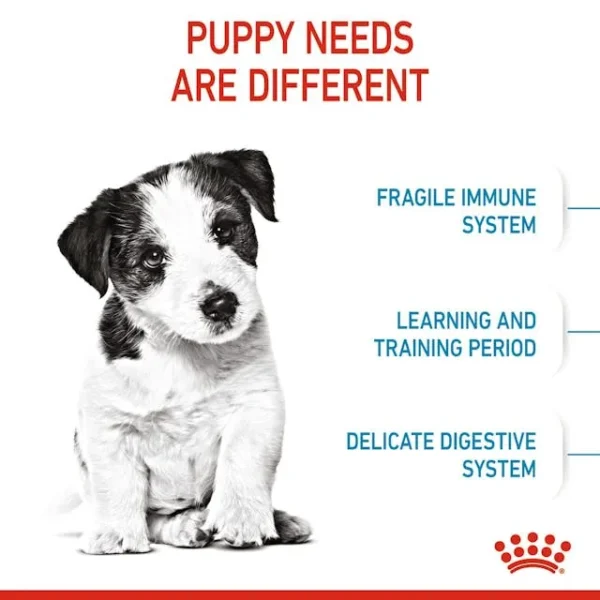 Royal Canin Mini Puppy untuk Anjing - Image 4