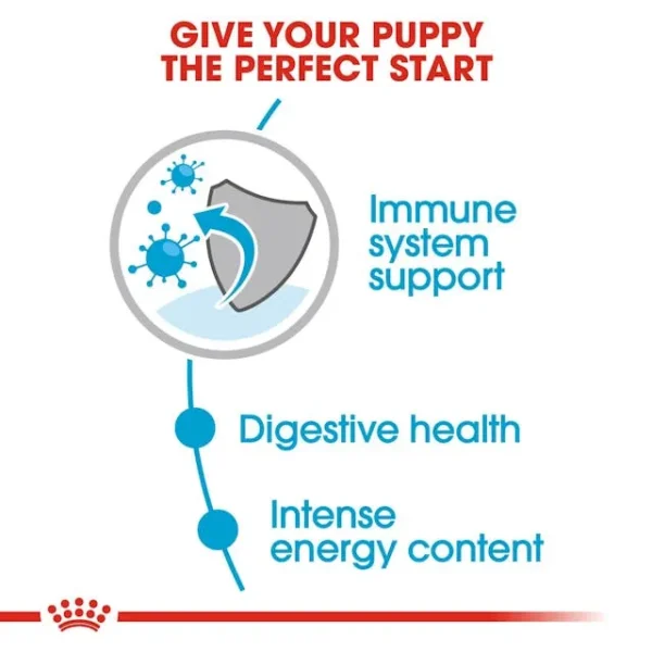 Royal Canin Mini Puppy untuk Anjing - Image 2